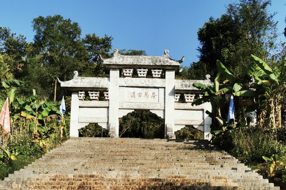 Puer Tea Horse Ancient Road